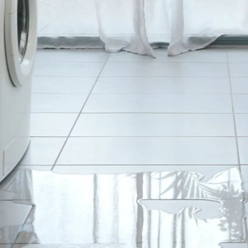 Appliance Leak Cleanup in Franklin County, MS