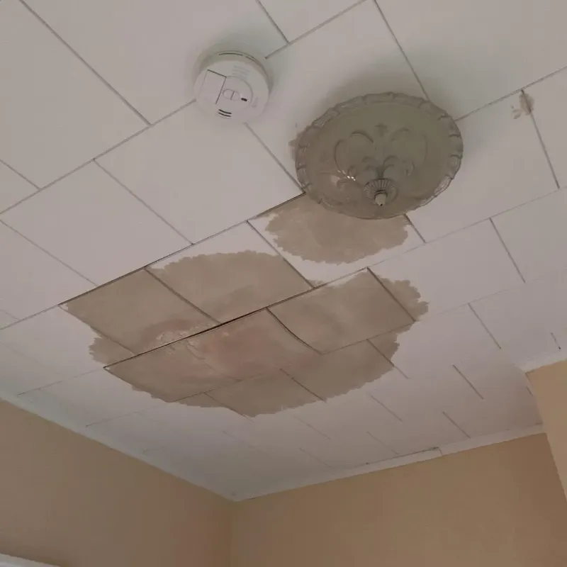 Ceiling Water Damage Repair in Franklin County, MS