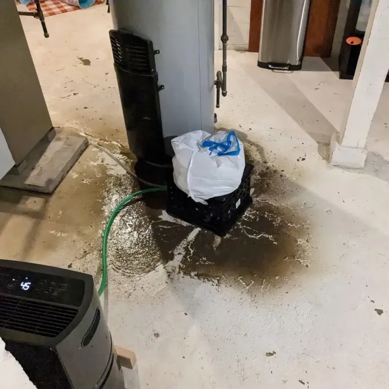 Sewage Backup Cleanup Service in Franklin County, MS